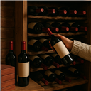Bien préparer sa cave pour l'automne : premiers rouges et organisation pour la rentrée
