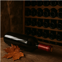 Optimiser votre cave à vin pour l'automne : comment préserver vos rouges charpentés?