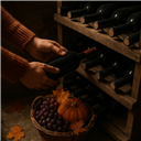Optimiser sa Cave à Vin en Automne : Guide pour Préparer sa Collection aux Délices de Saison