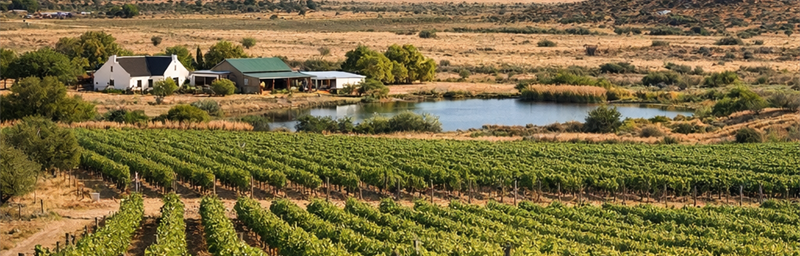 Hình ảnh của Rượu vang Afrique du Sud từ vùng Karoo