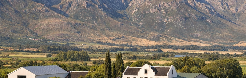 Hình ảnh của Rượu vang Afrique du Sud từ vùng Vorcester