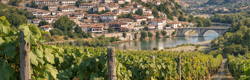 Billede af Vine fra Albanie fra regionen Berat