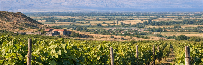 Image des Vins de Arménie de la région Ararat