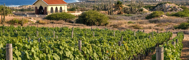 PhotoVùng Alto Vista tai aruba