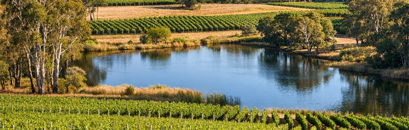 Hình ảnh của Rượu vang Australie từ vùng Tây Úc