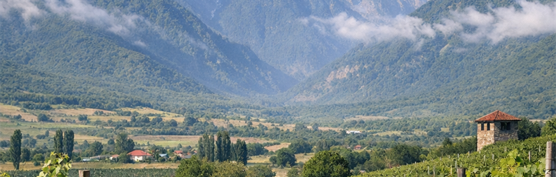 Image of Wines of Azerbaïdjan from the Gabala region