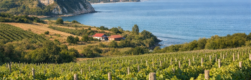 Hình ảnh của Rượu vang Bulgarie từ vùng Région de la mer Noire