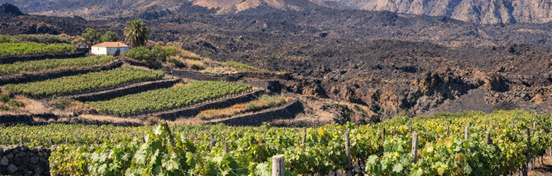 PhotoРегіон Фогу на кабо-верде