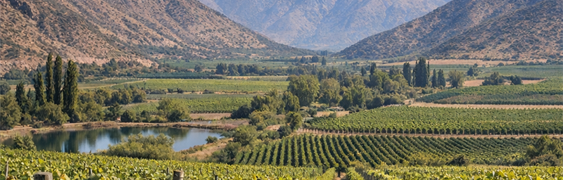 Hình ảnh của Rượu vang Chili từ vùng Thung lũng Aconcagua