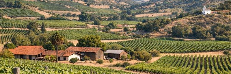 Hình ảnh của Rượu vang Chili từ vùng Lolol