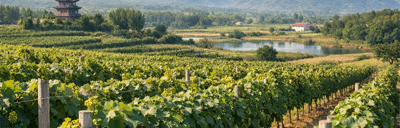 PhotoVùng Hà Bắc tai Trung Quoc