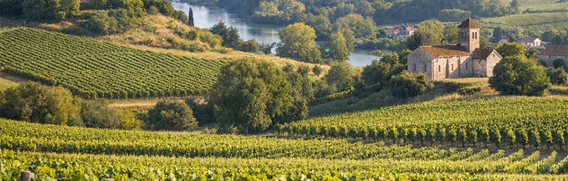 Photo« IGP » của vùng Aquitaine và Charentes tai phap