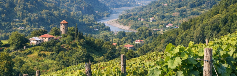 Hình ảnh của Rượu vang Géorgie từ vùng Adjara