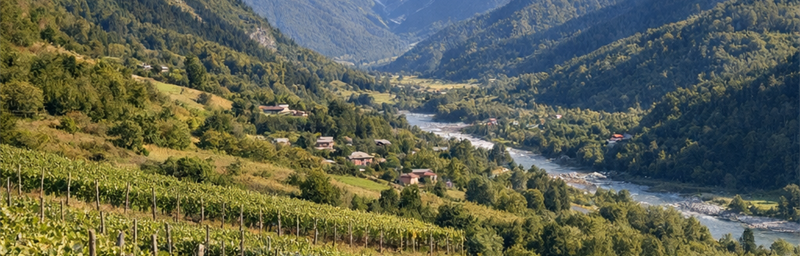 Hình ảnh của Rượu vang Géorgie từ vùng Racha-Lechkhumi