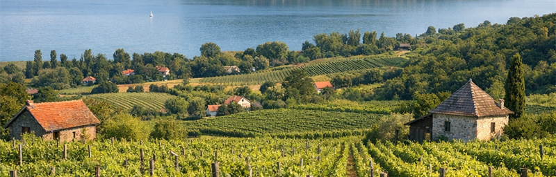 Hình ảnh của Rượu vang Hongrie từ vùng Badacsony