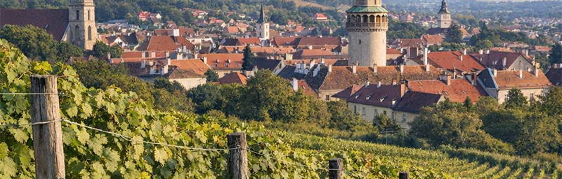 Hình ảnh của Rượu vang Hongrie từ vùng Sopron