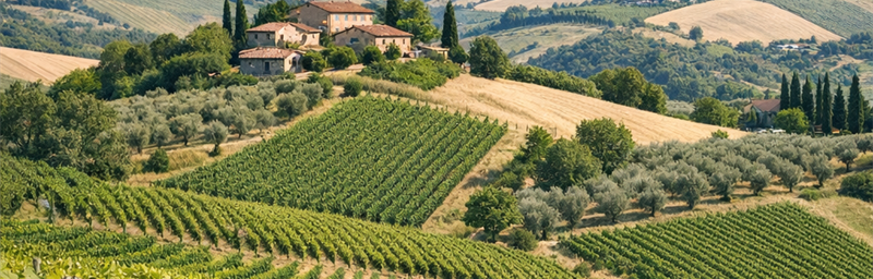 Photo« DOC » della regione Marche in italia