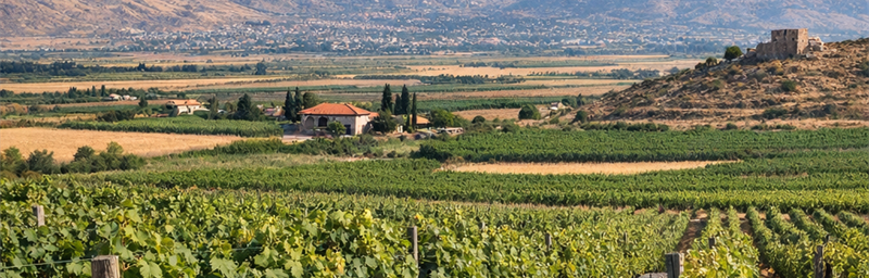 Image des Vins de Liban de la région Bekaa