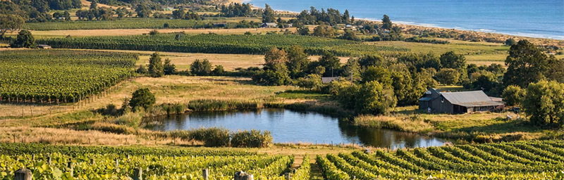 Hình ảnh của Rượu vang Nouvelle Zélande từ vùng Vịnh Hawke