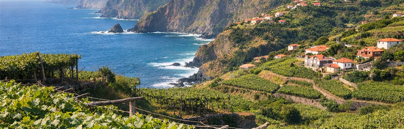 Photo« IGP » de la región Madeira en portugal
