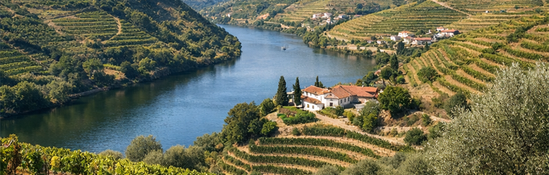 Photo« DOC » de la région Portugal au Portugal 