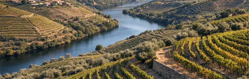 Photo« IGP » de la región Trás-os-Montes en portugal