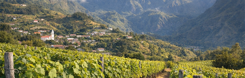 Photo« IGP » của vùng Cilaos tai dao Reunion