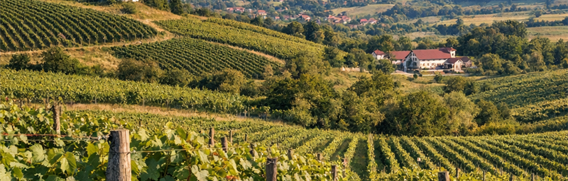PhotoVùng Rumani tai romania