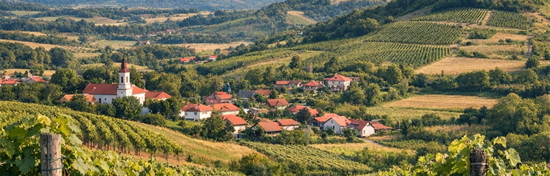 Hình ảnh của Rượu vang Serbie từ vùng Tây Morava