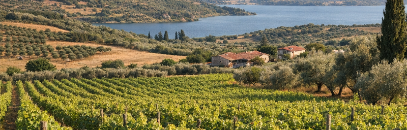 PhotoVùng Aegean o thổ nhĩ kỳ