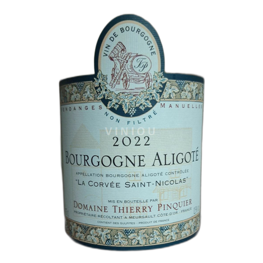 Burgund Bourgogne Aligoté Domaine Thierry Pinquier La Corvée Saint-Nicolas 2022