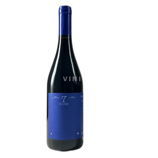 Vale do Loire Anjou Domaine 7 Plume 2022