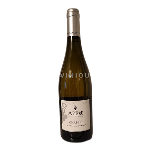 Bourgogne Chablis Vignoble Angst 2022