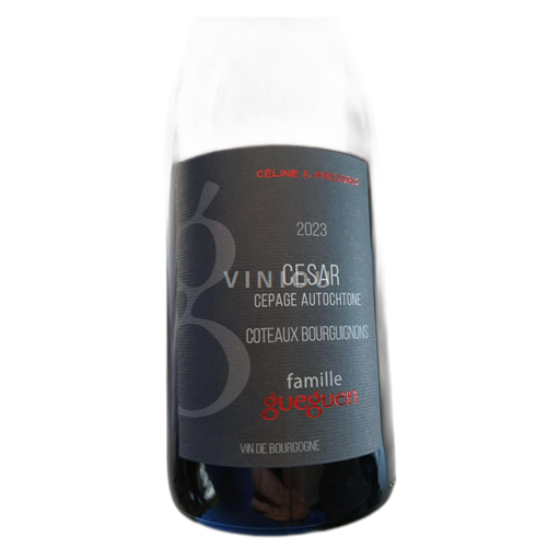 Burgundy Coteaux Bourguignons Famille Gueguen César 2023
