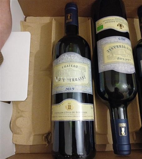 Bordeaux Castillon-côtes-de-bordeaux Château Haute Terrasse 2019