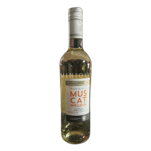 Alsace Muscat Expert club Non-Vintage