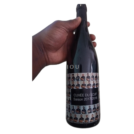 Loiredalen Chinon Domaine Naulet du SCUF 2015