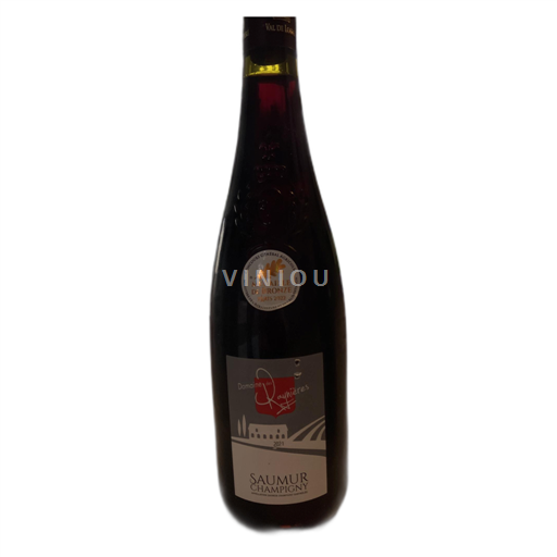Loiren laakso Saumur-champigny Domaine des Raynières 2021