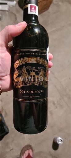 Vin Rouge sec Château Grand Jour 2017 France Bordeaux Côtes-de-bourg AOC