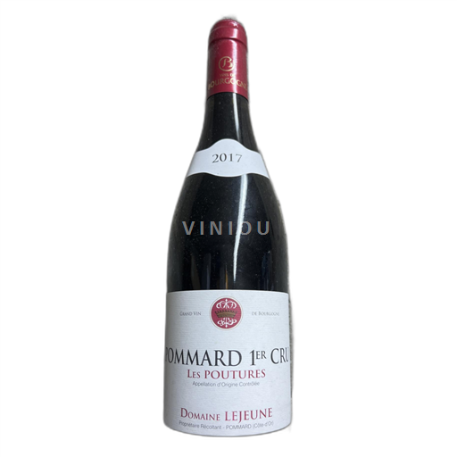Borgogna Non specificato Domaine Lejeune Les Poutures 2017