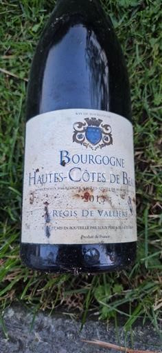 Burgundsko Hautes Côtes de Beaune Régis de Vallière 2013