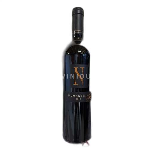 Castilien og León Toro Bodega Numanthia Numanthia 2018