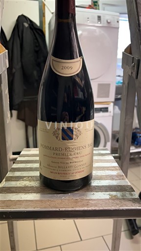 Domaine Billard-Gonnet - Wine, list of its Wine.