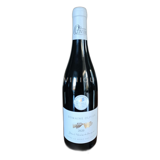 Loirevallei Saint-Nicolas-De-Bourgueil Domaine Olivier Le Mont des Olivier 2020