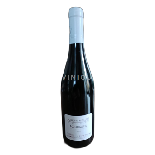 Loiredalen Bourgueil Joseph Mellot Le Fretval 2019