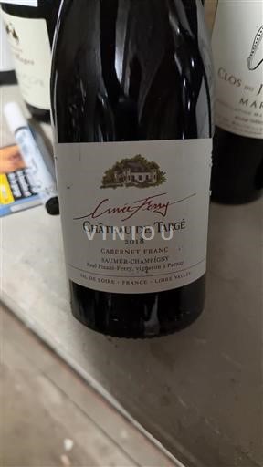 Loiredalen Saumur-Champigny Château de Targé Ferry 2018