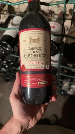 Burdeos Bordeaux Chevaux des Girondins 2002
