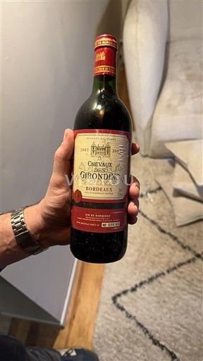 Bordeaux Chevaux des Girondins 2002