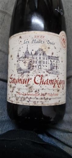 Loire Valley Saumur-Champigny Les Hauts Buis 2022