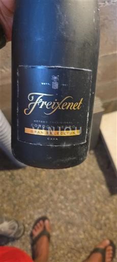 Catalogna Non specificato Freixenet Cordon Negro Senza annata